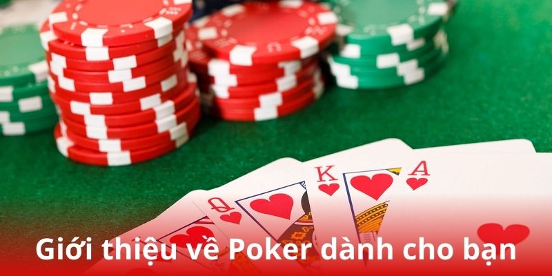 Giới thiệu về bài Poker dành cho người chơi tại trang Daga88