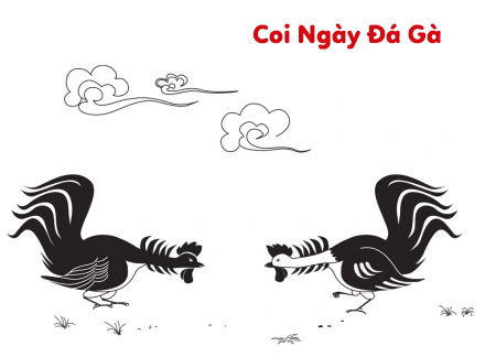 coi ngày đá gà