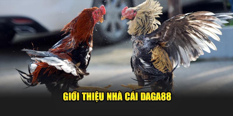 Giới thiệu nhà cái Daga88