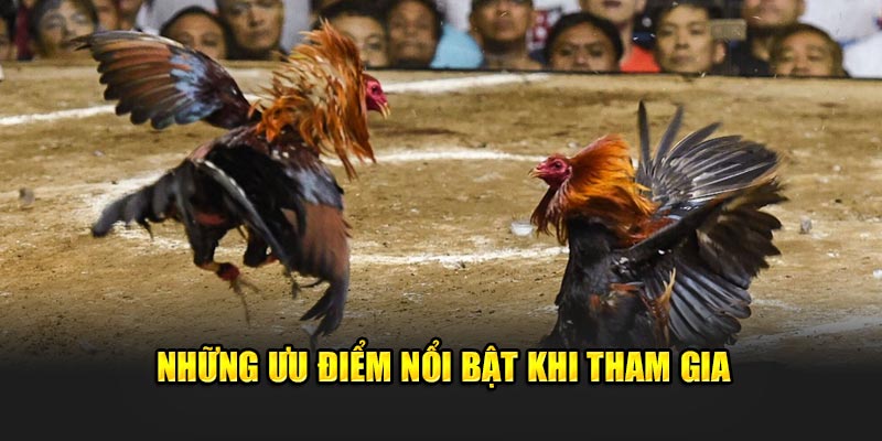 Những ưu điểm nổi bật khi tham gia trang Daga88