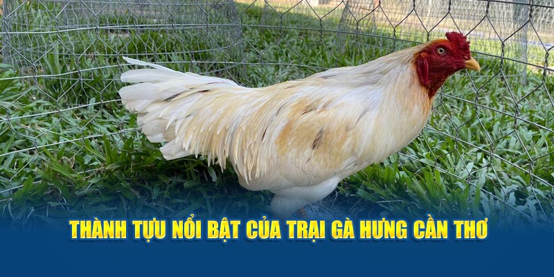 Thành tựu nổi bật của trại gà Hưng Cần Thơ